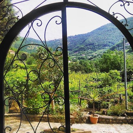 Agriturismo Mare E Monti ตรามอนติ ภายนอก รูปภาพ