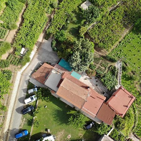 Agriturismo Mare E Monti ตรามอนติ ภายนอก รูปภาพ
