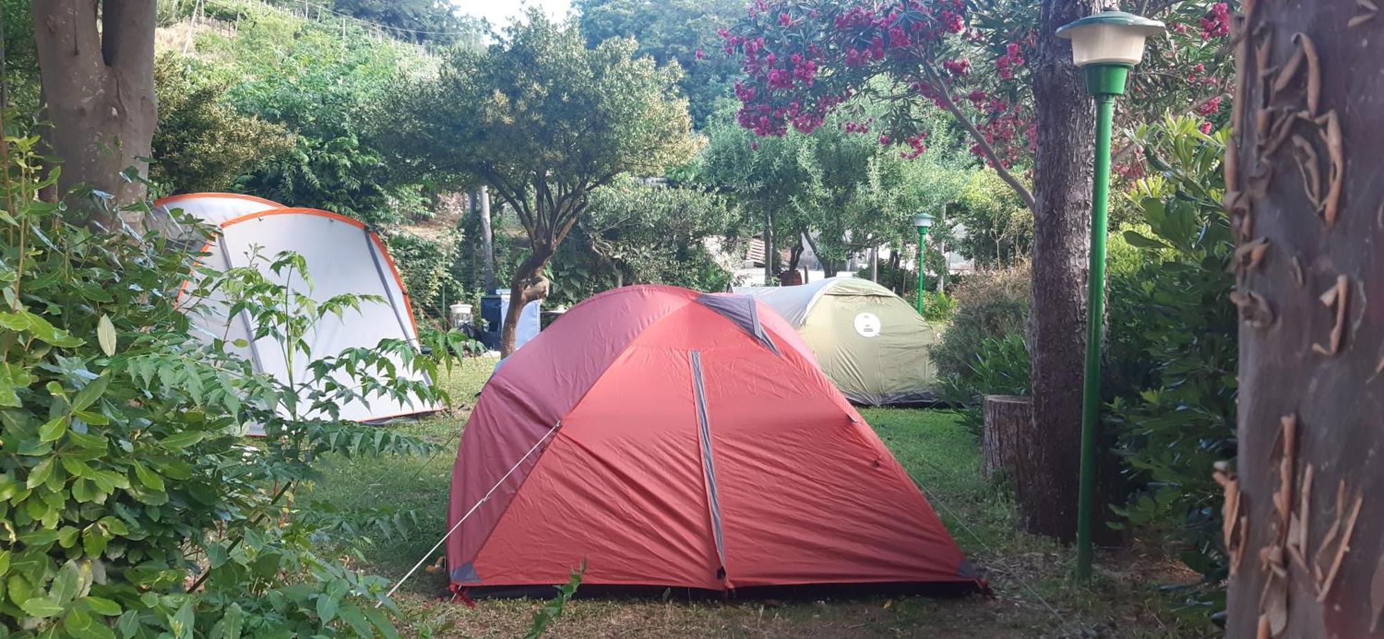 Agriturismo Mare E Monti ตรามอนติ ภายนอก รูปภาพ
