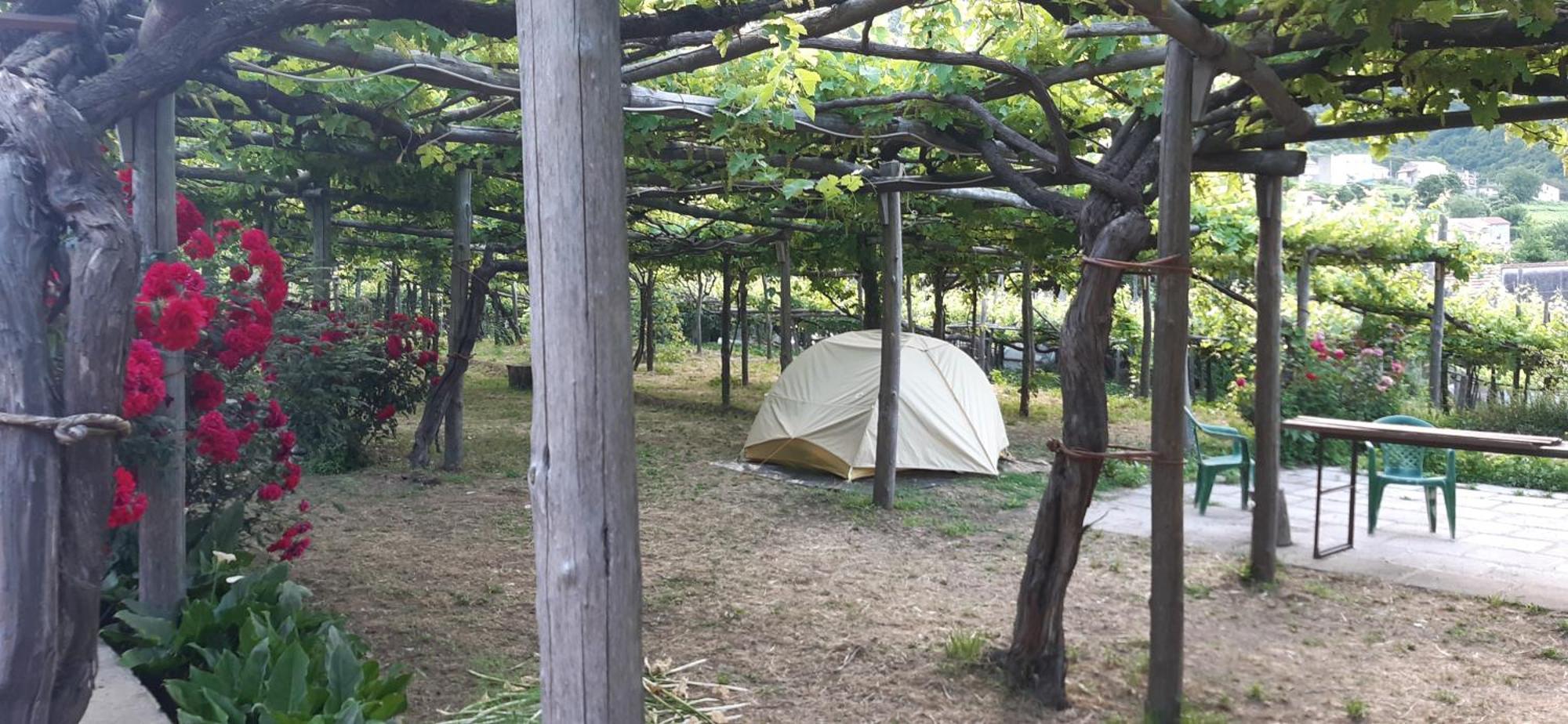 Agriturismo Mare E Monti ตรามอนติ ภายนอก รูปภาพ