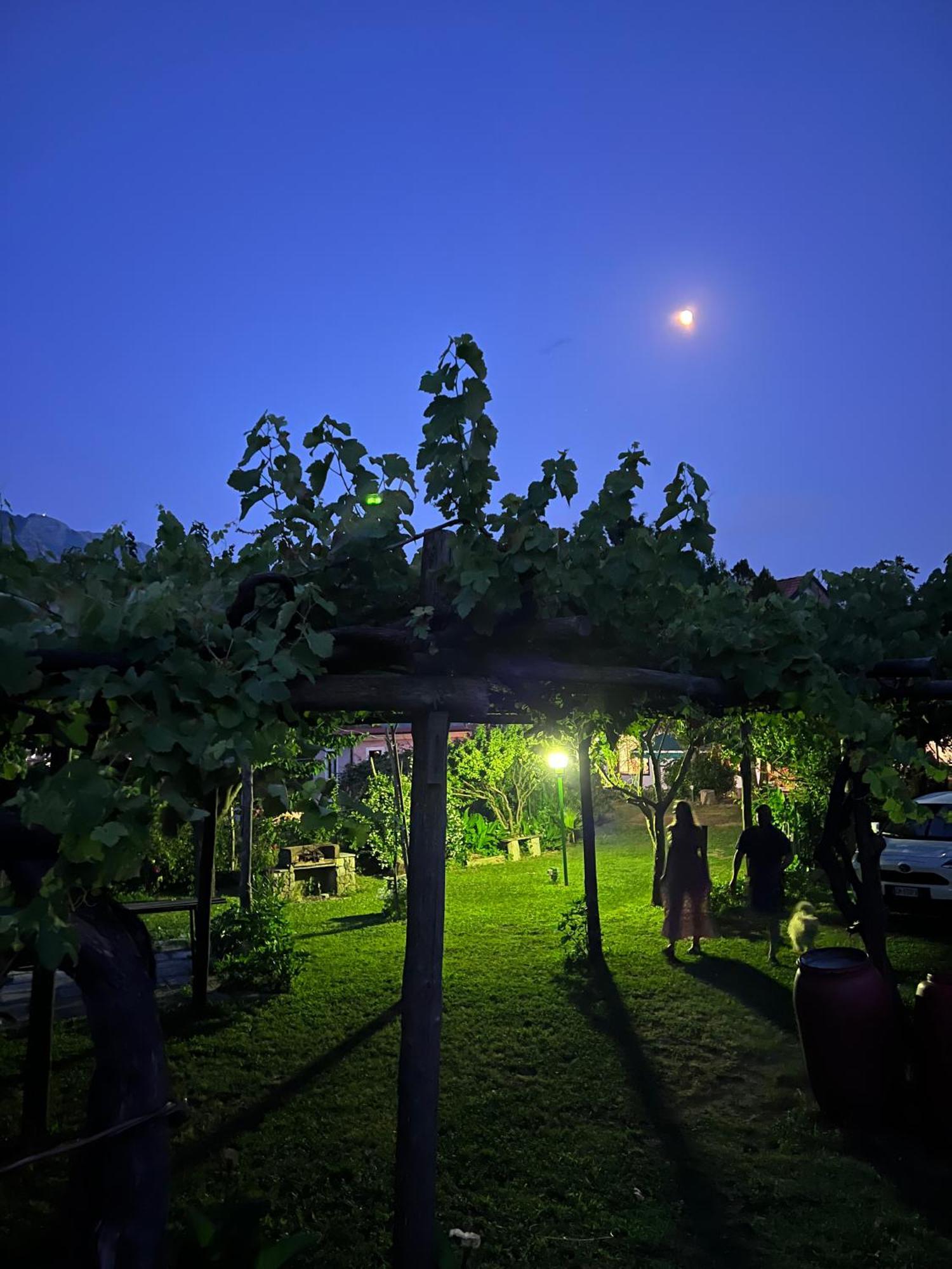 Agriturismo Mare E Monti ตรามอนติ ภายนอก รูปภาพ