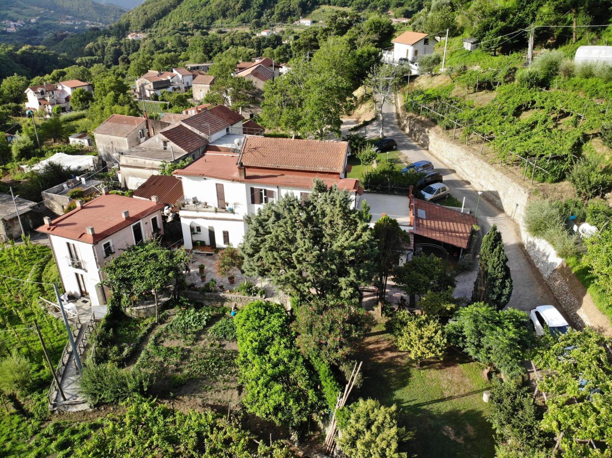 Agriturismo Mare E Monti ตรามอนติ ภายนอก รูปภาพ