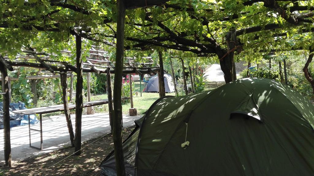 Agriturismo Mare E Monti ตรามอนติ ภายนอก รูปภาพ